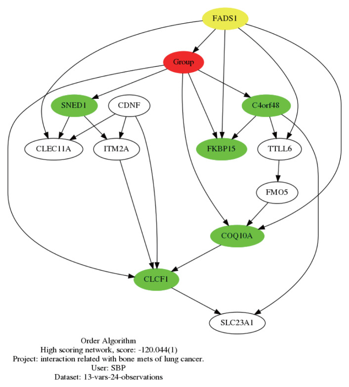 Identification of Bone Metastasis-Related Gene Networks in Lung Cancer: Implications for Bone Metabolism.