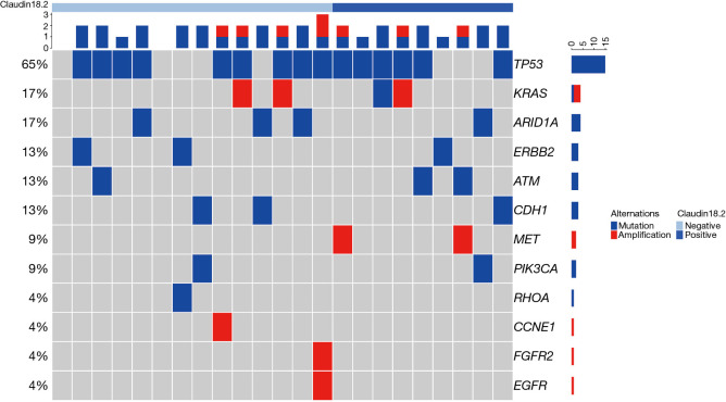 Retrospective analysis of Claudin18.2 expression in ethnically diverse patients with gastroesophageal adenocarcinoma.