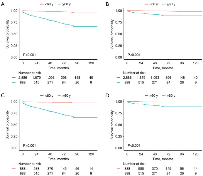 Analysis of clinicopathological characteristics and prognosis of appendiceal neuroendocrine tumors: a retrospective cohort study based on the SEER database.