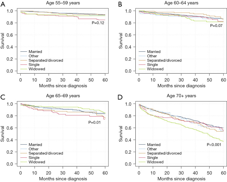 Marital status, race/ethnicity, and outcomes in well-differentiated thyroid cancer in the elderly.