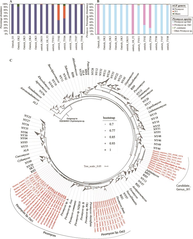 Anaerobic gut fungal community in ostriches (<i>Struthio camelus</i>).