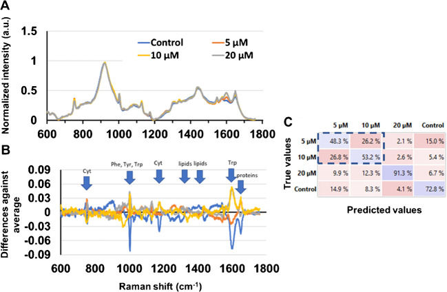 Single-cell Raman and mass spectrometry analysis to probe cellular heterogeneity in tamoxifen uptake and metabolism