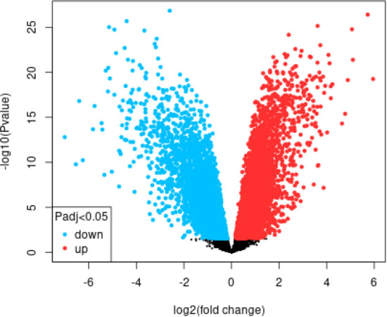 Beetroot (<i>Beta vulgaris</i>) potential in preventing colorectal cancer using in-silico analysis.
