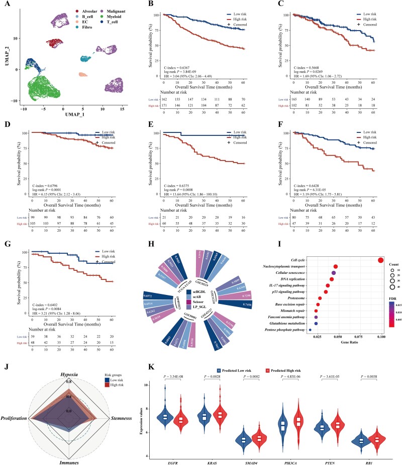 Graph-based deep learning for integrating single-cell and bulk transcriptomic data to identify clinical cancer subtypes.