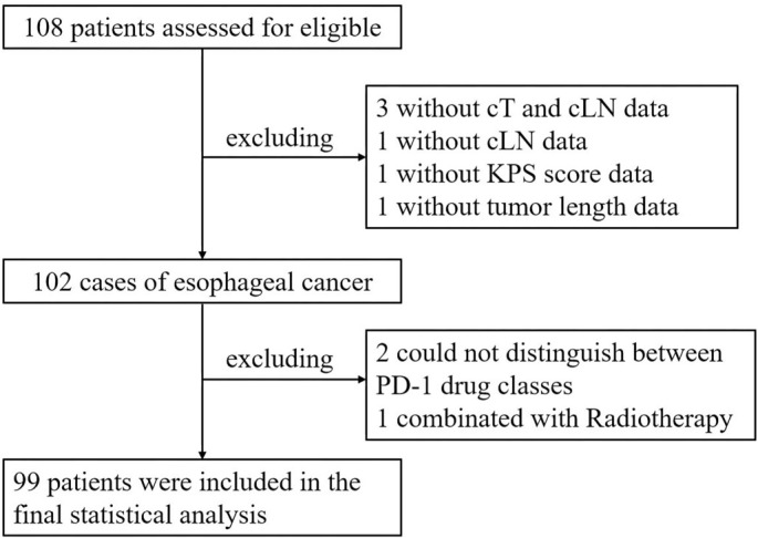 Neoadjuvant immunochemotherapy for resectable esophageal cancer: A study on efficacy and safety.