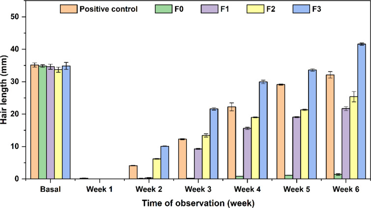 Hybrid function of light fraction patchouli oil in hair care formulations for effective hair and anti-dandruff treatment.