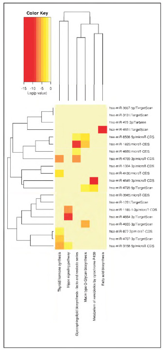 Differently expressed miRNA in plasma samples of immune thrombocytopenic purpura patients and its clinical significance.