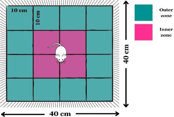 Thymoquinone and madecassoside improve motor function in a rotenone-induced mouse model of early Parkinson's disease: Role of dopamine, alpha-synuclein and mBDNF.