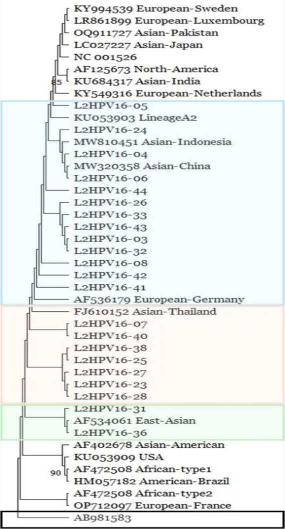Genetic variations of the <i>L2</i> gene in human papillomavirus (HPV) type 16 from cervical cancer patients in Sumatra region, Indonesia.