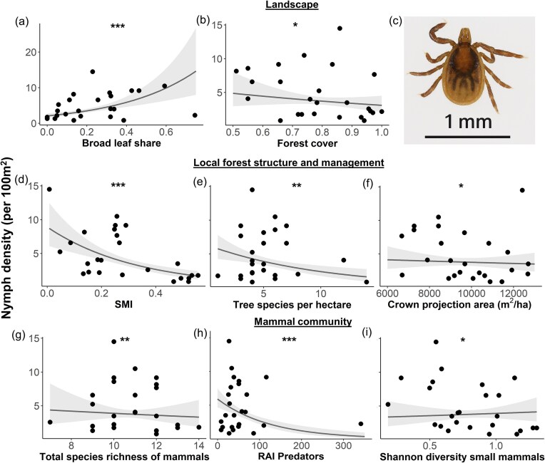 Landscape heterogeneity, forest structure, and mammalian host diversity shape tick density and prevalence of the causative agent of Lyme borreliosis.