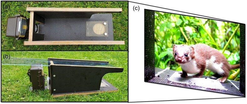 Landscape heterogeneity, forest structure, and mammalian host diversity shape tick density and prevalence of the causative agent of Lyme borreliosis.