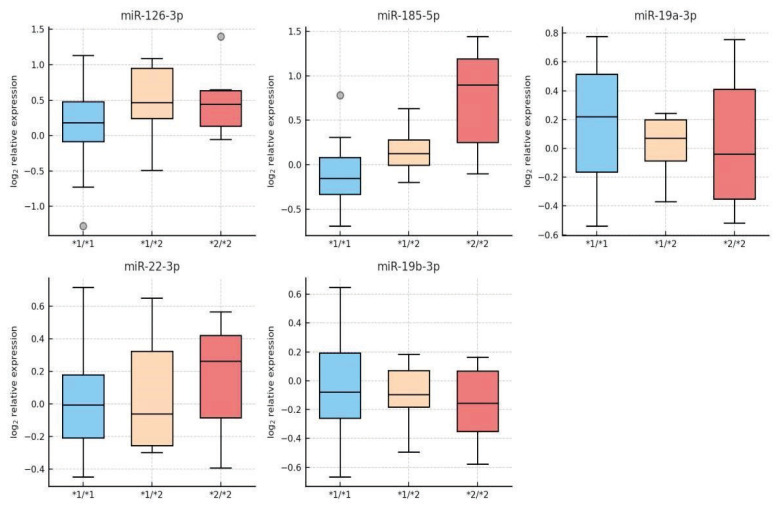 Pathophysiology of Clopidogrel in Ischemic Stroke, Role of Platelet microRNAs.