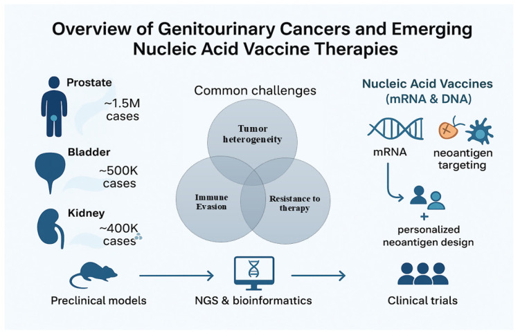 mRNA and DNA-Based Vaccines in Genitourinary Cancers: A New Frontier in Personalized Immunotherapy.