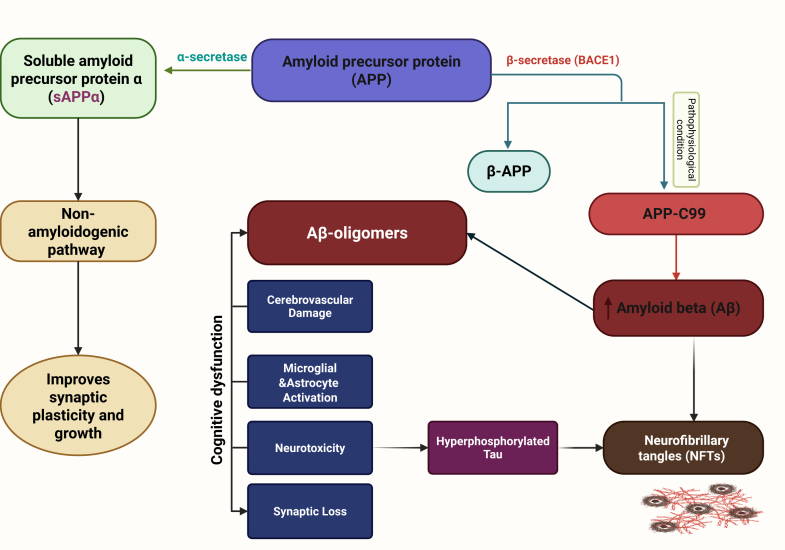Alzheimer disease: Amyloid peptide controversies and challenges of anti-Aβ immunotherapy.