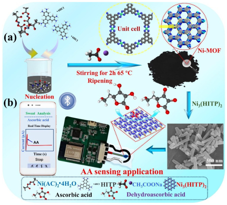 Progress in Nickel MOF-Based Materials for Electrochemical Biosensor and Supercapacitor Applications.