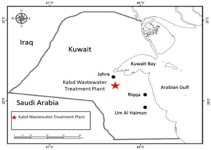 Effect of Dietary Exposure to Low-Density Polyethylene Microplastics and Their Potential Role as Estrogen Vectors In Vivo.