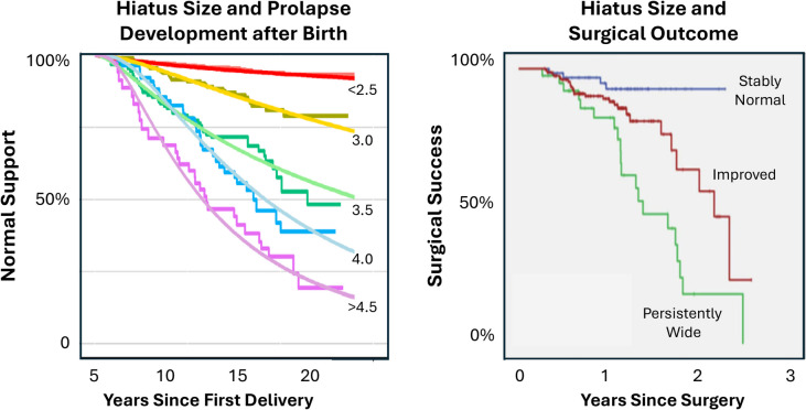 Urogenital Hiatus Closure: Facts, Fallacies, and Why a Unified Theory of Hiatal Failure is Needed.