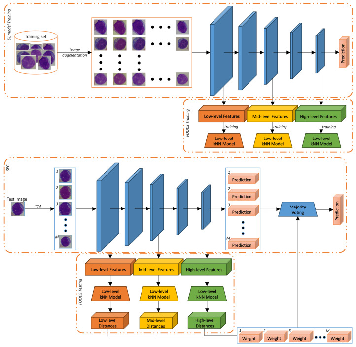 Test-Time Augmentation for Cross-Domain Leukocyte Classification via OOD Filtering and Self-Ensembling.