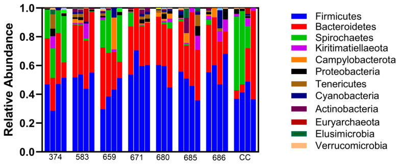 Effects of Intra-uterine Ceftiofur on the Equine Uterine Microbiome.