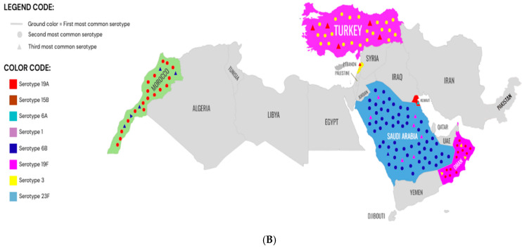 Changing Landscape of Invasive Pneumococcal Disease Serotypes and Antimicrobial Resistance Following Pneumococcal Conjugate Vaccine Introduction in the Middle East and North Africa Region: A Systematic Review.