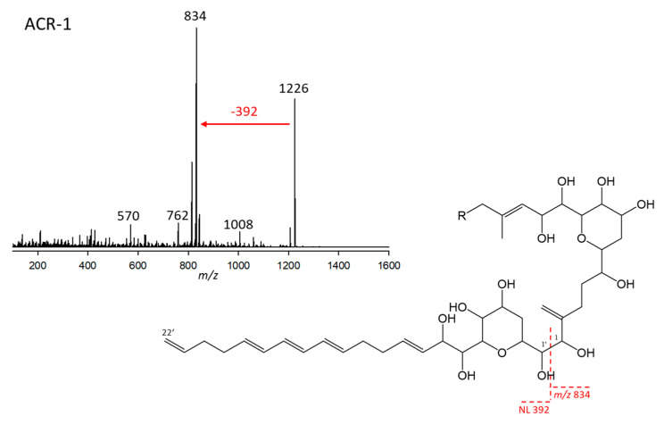 High Inter- and Intraspecific Variability in Amphidinol Content and Toxicity of <i>Amphidinium</i> Strains.