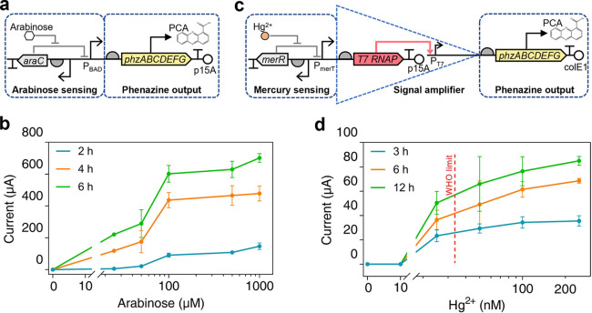 Synthetic Whole-Cell Bioelectronic Chemical Sensing with <i>In Situ</i> Genetic Computing.