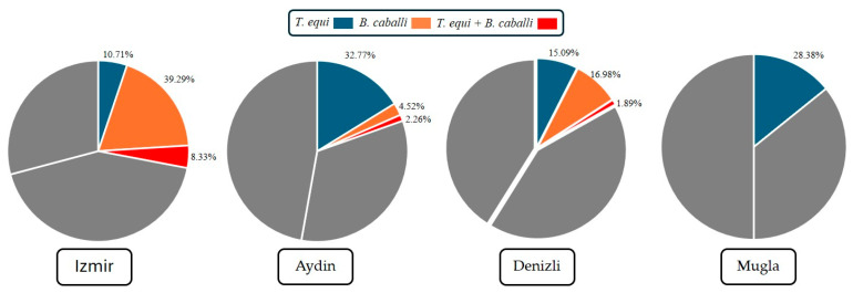 Molecular Detection and Prevalence of Equine Piroplasmosis and Other Blood Parasites in Equids of Western Aegean Türkiye.