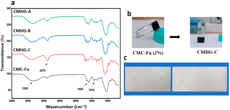 CMC-Based Injectable Hydrogels Crosslinked by Diels-Alder Chemistry for Wound Healing Applications.
