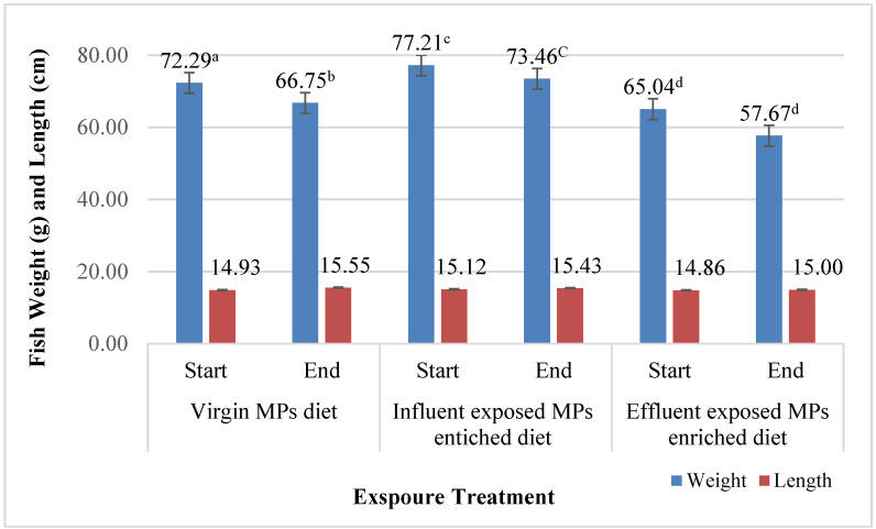 Effect of Dietary Exposure to Low-Density Polyethylene Microplastics and Their Potential Role as Estrogen Vectors In Vivo.