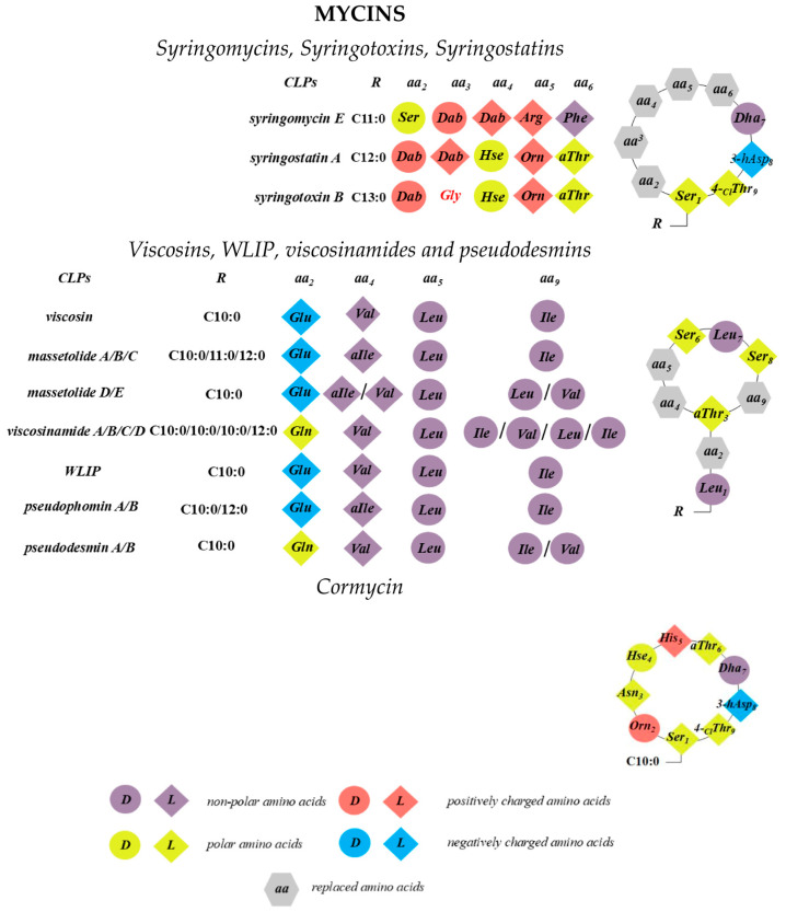 State of the Art of Cyclic Lipopeptide-Membrane Interactions: Pore Formation and Bilayer Permeability.
