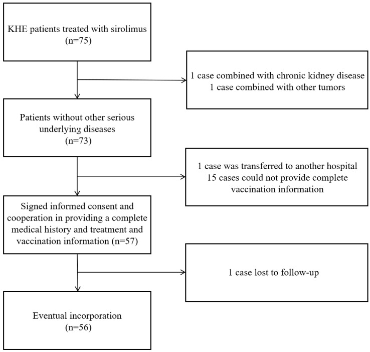 Safety and Immunogenicity of Vaccines in Children with Kaposiform Hemangioendothelioma Receiving Sirolimus: A Prospective Study.
