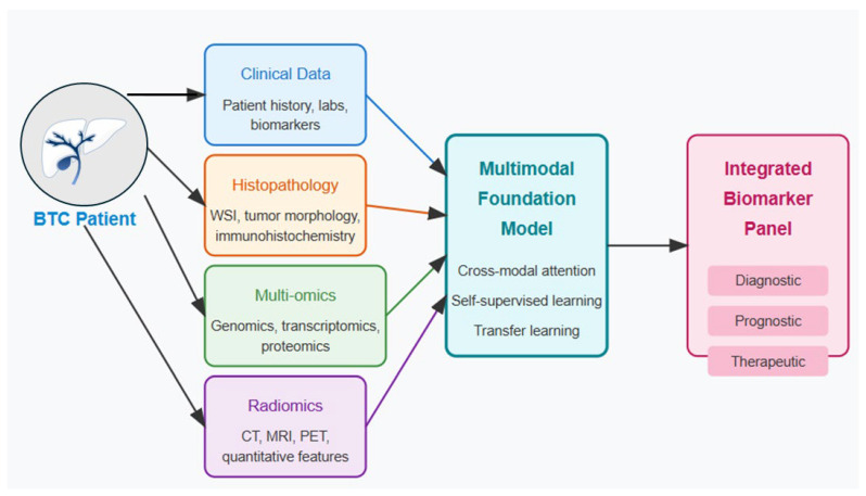 Leveraging Multimodal Foundation Models in Biliary Tract Cancer Research.