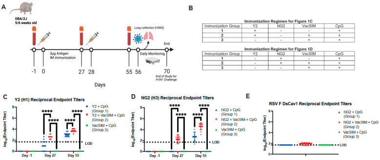 Use of the Slow-Delivery Platform, VacSIM, Shapes the Host Immune Response to Increase Protection Against Influenza Infection.