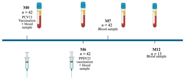 Evaluation of T-Cell Responses Following Sequential Vaccination with PCV13 and PPSV23 Against <i>Streptococcus pneumoniae</i> in Patients with Psoriasis.