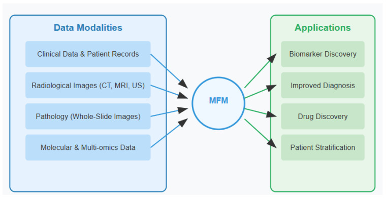 Leveraging Multimodal Foundation Models in Biliary Tract Cancer Research.