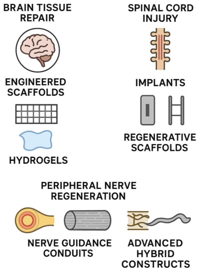Biomaterials and Tissue Engineering in Neurosurgery: Current Innovations and Future Directions.
