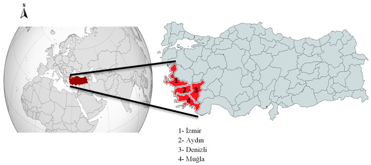 Molecular Detection and Prevalence of Equine Piroplasmosis and Other Blood Parasites in Equids of Western Aegean Türkiye.