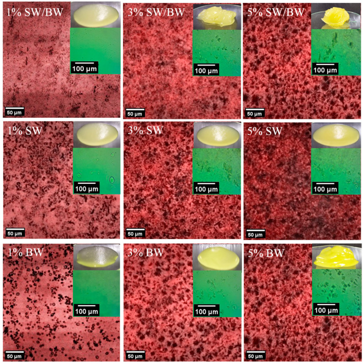 Rheological and Physicochemical Characterization of Structured Chia Oil: A Novel Approach Using a Low-Content Shellac Wax/Beeswax Blend as Oleogelant.