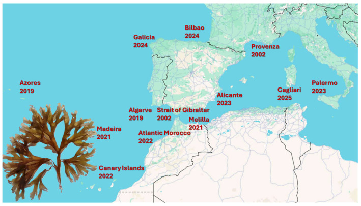 Overview of Primary and Secondary Metabolites of <i>Rugulopteryx okamurae</i> Seaweed: Assessing Bioactivity, Scalability, and Molecular Mechanisms.