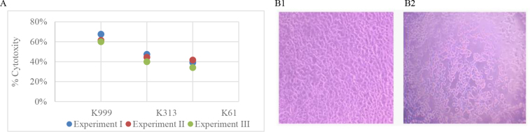 Is <i>Shewanella oncorhynchi</i> a fish health threat? Possible genetic background of pathogenicity and common carp challenge.