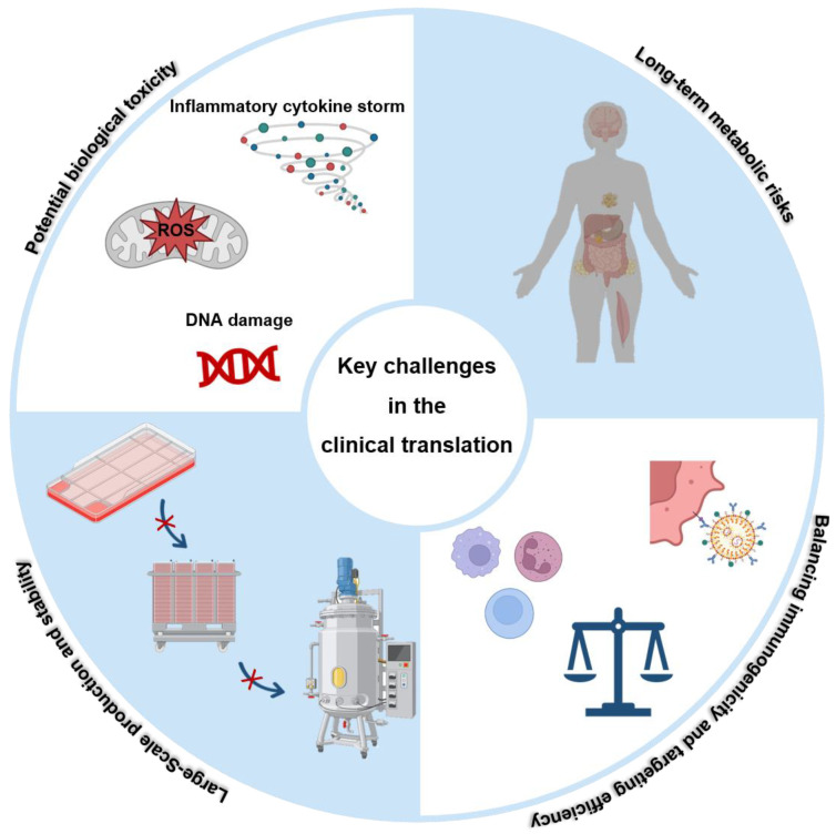 Nanovaccines: Innovative Advances from Design Strategies to Clinical Translation.