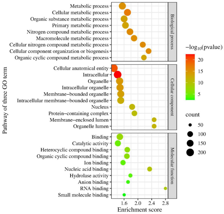 Genomic Characterization of <i>Cryptococcus neoformans</i> Isolated from Zebra Dove Excreta in Songkhla, Thailand.