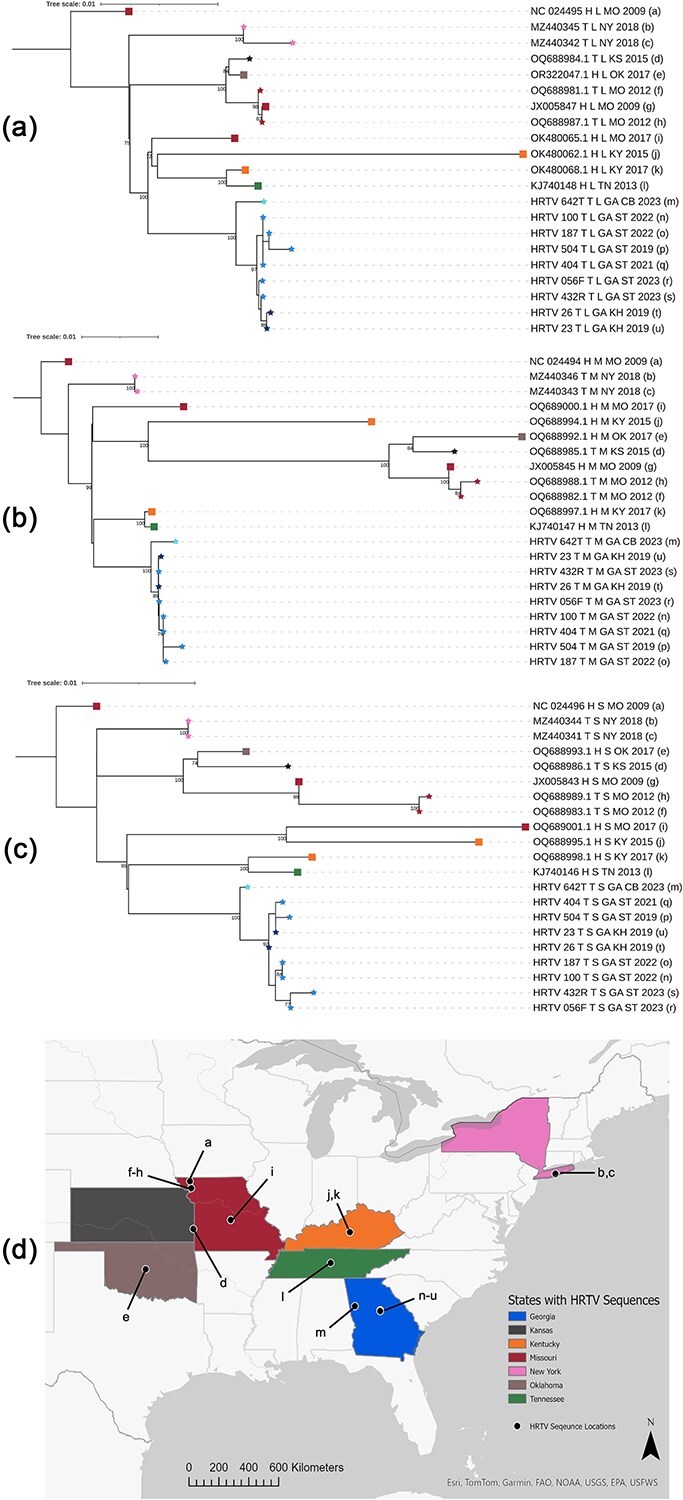Focal persistence and phylodynamics of Heartland virus in Georgia.