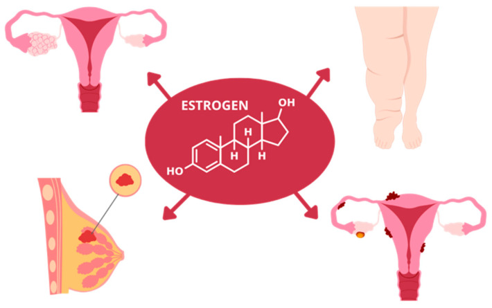 New Perspectives on the Use of Resveratrol in the Treatment of Metabolic and Estrogen-Dependent Conditions Through Hormonal Modulation and Anti-Inflammatory Effects.