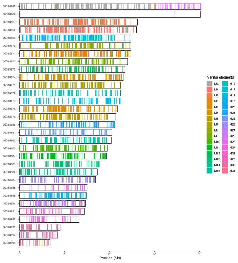 The genome sequence of the Queen of Spain Fritillary, <i>Issoria lathonia</i> (Linnaeus, 1758) (Lepidoptera: Nymphalidae).