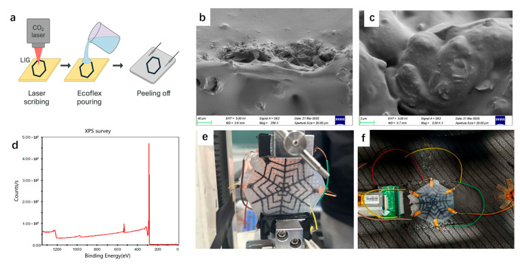 Laser-Induced Graphene-Based Strain Sensor Array Integrated into Smart Tires for a Load Perception.