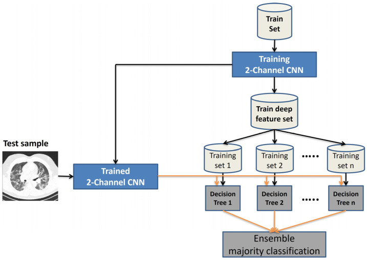 A Flexible Multi-Channel Deep Network Leveraging Texture and Spatial Features for Diagnosing New COVID-19 Variants in Lung CT Scans.
