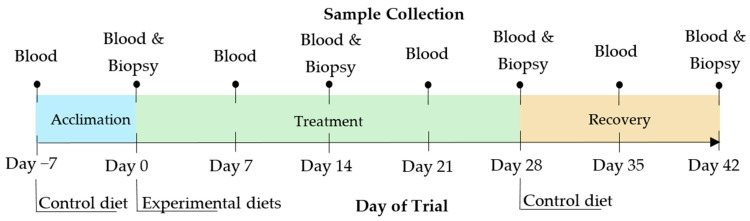 In Vitro and In Vivo Comparisons of Activated Charcoal and Biochar as Dietary Treatments for Controlling Boar Taint.