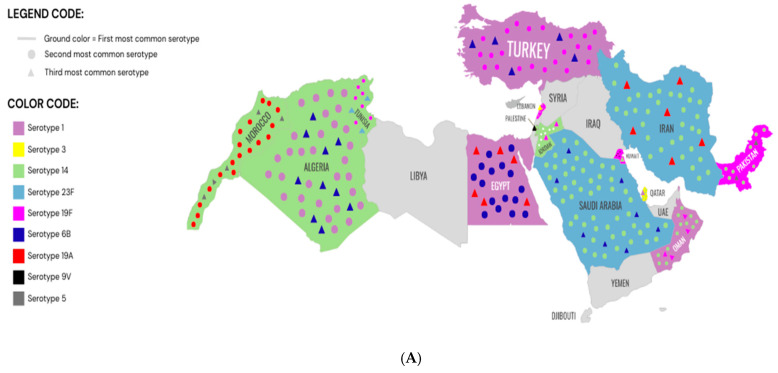 Changing Landscape of Invasive Pneumococcal Disease Serotypes and Antimicrobial Resistance Following Pneumococcal Conjugate Vaccine Introduction in the Middle East and North Africa Region: A Systematic Review.