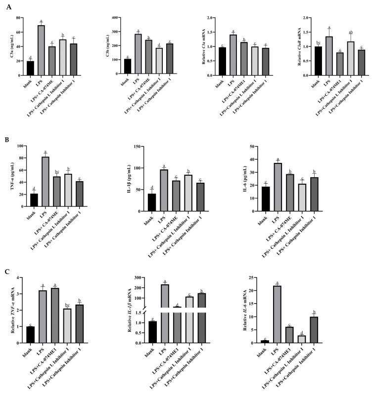 LPS-Induced Intracellular Complement 3 Activation Regulated ATP Production in Yak Rumen Epithelial Cells.